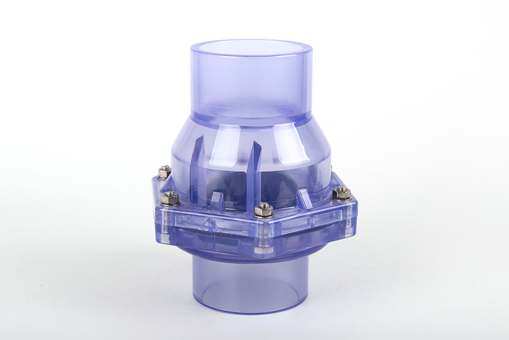 黄竹镇透明翻板式止回阀